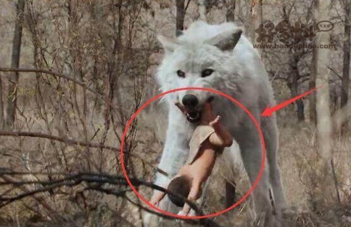 电视白鹿原都有哪些穿帮的地方 好剧也难逃穿帮镜头