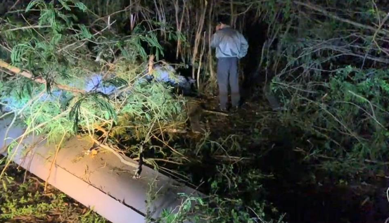 赵少康:台军应该买土耳其无人机对付大陆