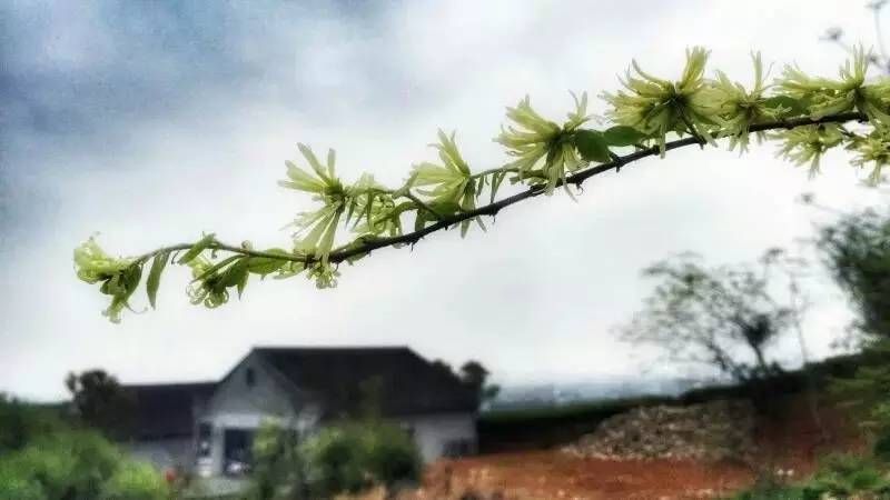 宁波十大休闲庄园出炉，你想睡哪一个？