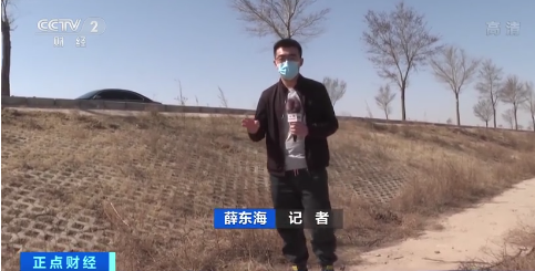 黄河死猪事件追踪：已收集死猪48头死羊17只