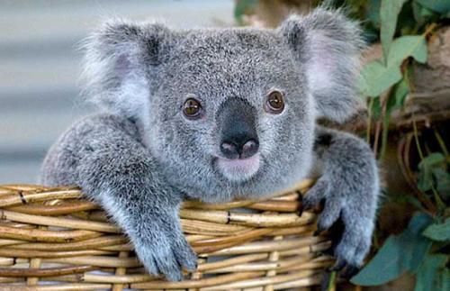 20条奇葩冷知识，原来WTF是世界跆拳道联合会的首字母缩写