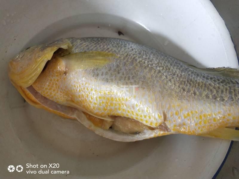 大厨教你炖黄花鱼，去腥又好吃，连盘子都要舔干净！