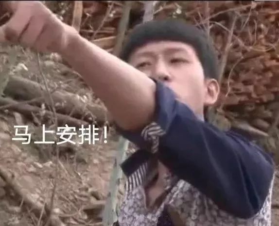 抖音评论区里的「安排」到底是什么梗？