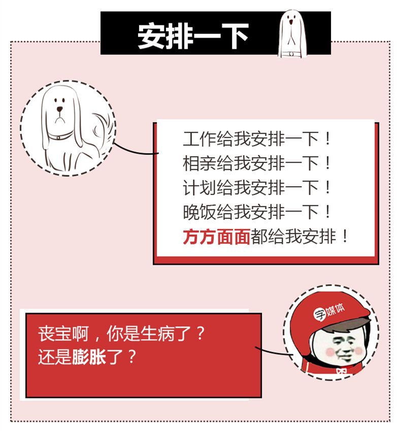 抖音评论区里的「安排」到底是什么梗？