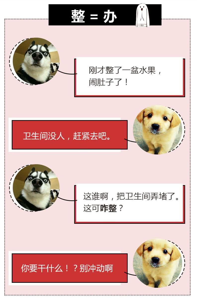 抖音评论区里的「安排」到底是什么梗？