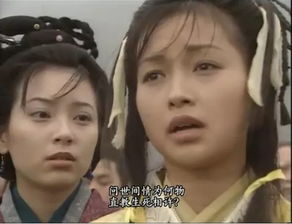 郭襄根本就不爱杨过！她骑着毛驴寻找的，其实是另一个人