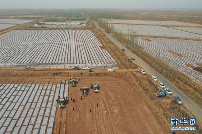 在新疆库车市，棉花春播正在进行（3月26日摄，无人机照片）。新华社发