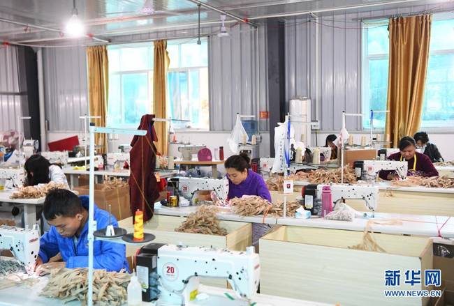 重庆奉节：产业助推乡村振