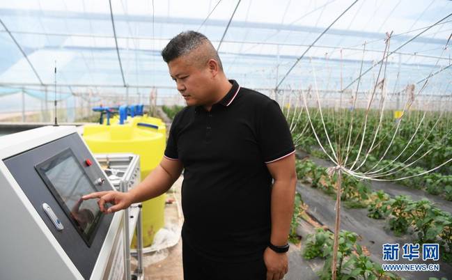 重庆奉节：产业助推乡村振