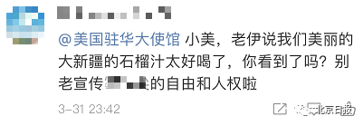 为新疆正名，伊朗的举动太实在！这段话被网友狂赞
