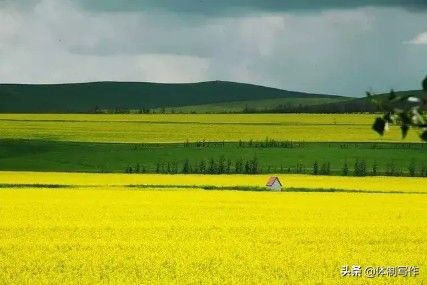 【范文赏析】组织生活会个人自查材料