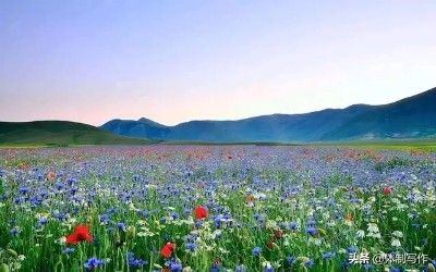 【范文赏析】组织生活会个人自查材料