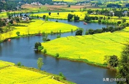 【范文赏析】组织生活会个人自查材料