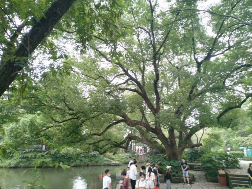 初中语文七年级课内成语解释汇编。