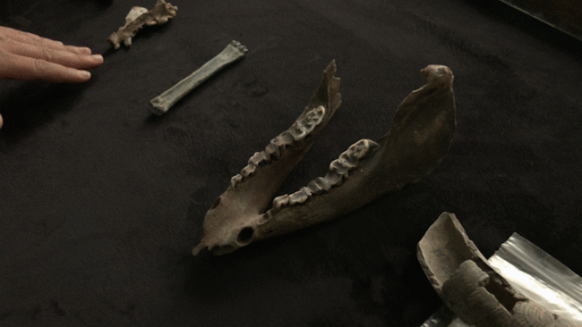 三星堆从何而来？探寻古蜀文明，打卡宝墩遗址