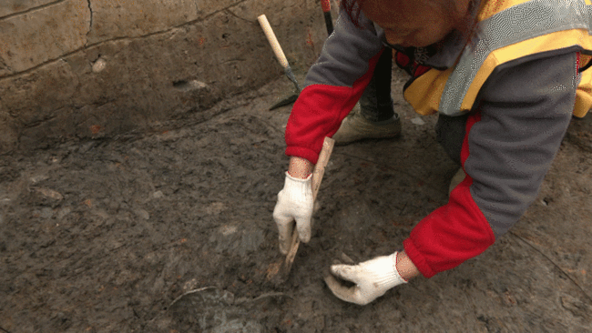 三星堆从何而来？探寻古蜀文明，打卡宝墩遗址